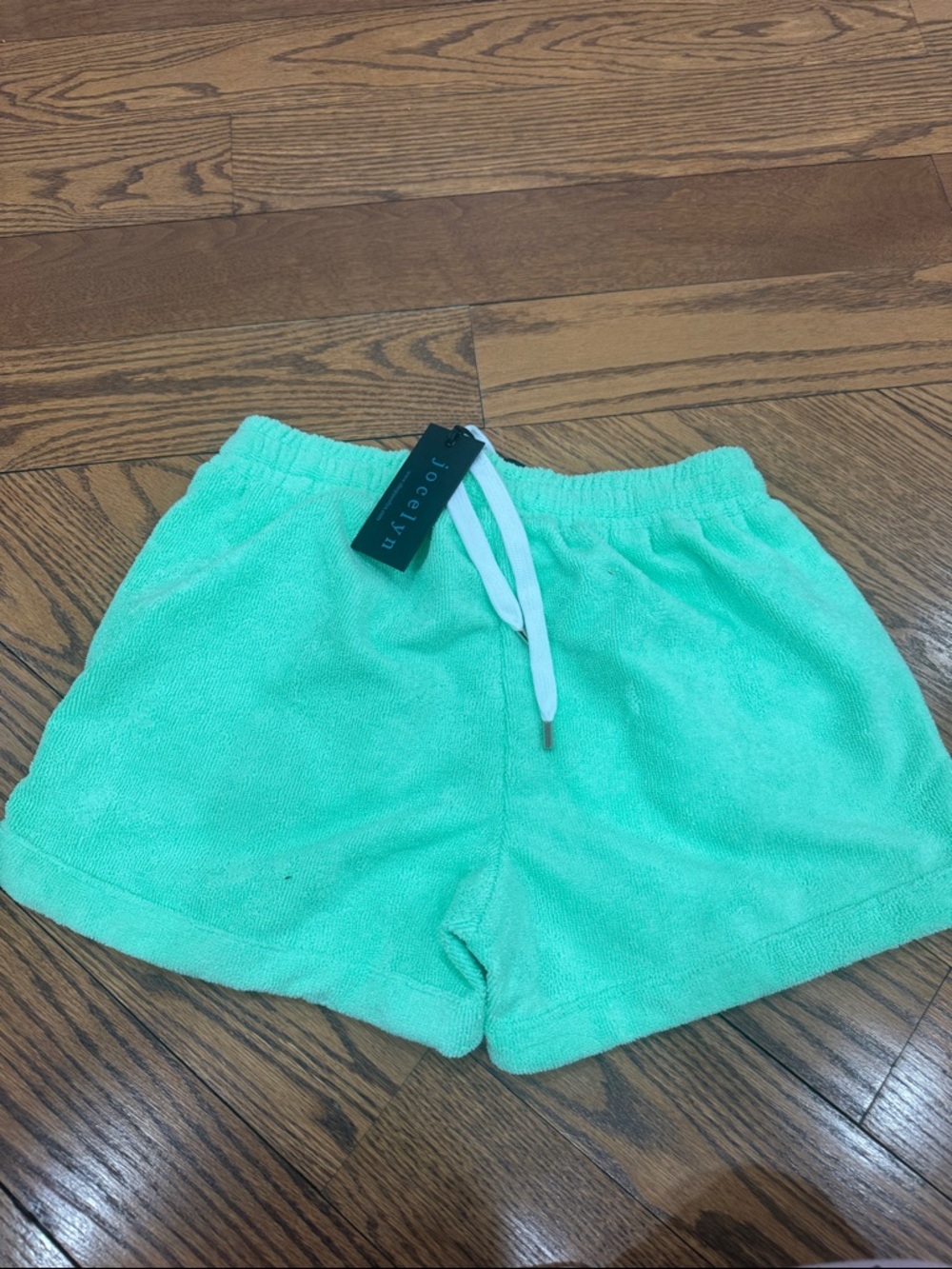 jocelyn Mint Green Terry Cloth Drawstring Shorts